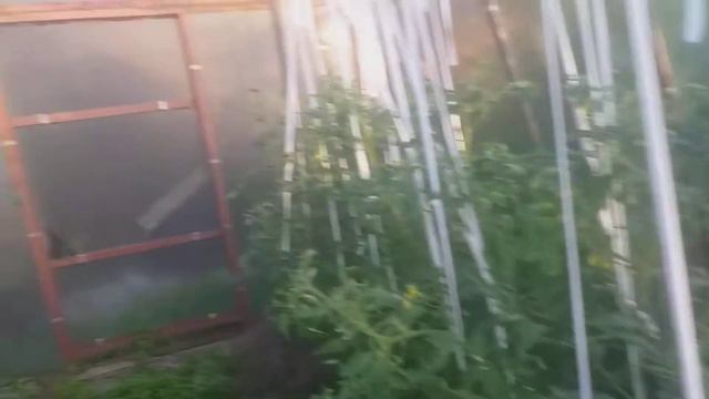 дача 60 смотреть онлайн