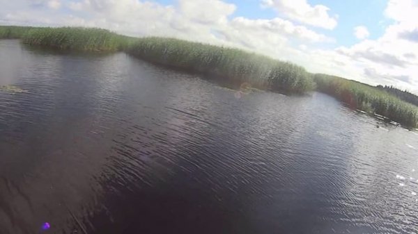 Lucky Craft Pointer 100 SSR. Ловим щуку в камышах.