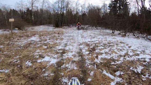 Гоним через лес втроем / Avantis 300 Pro EFI Enduro / Avantis 250 (172fmm) / Forsage 450