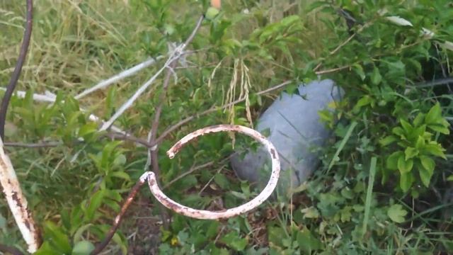 Сызрань 29.06.2020 (дача-сад) обзор. ч.2 смотреть онлайн