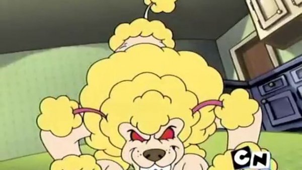 Werepoodle Transformation