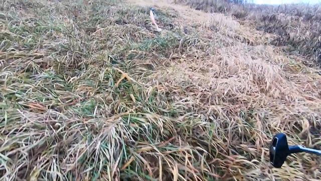 Не ПРОСТАЯ рыбалка на Малой реке Ловля на спиннинг, щука осенью в 2021 смотреть онлайн