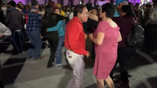 Este es el Chihuahua alegre que todos queremos! смотреть онлайн