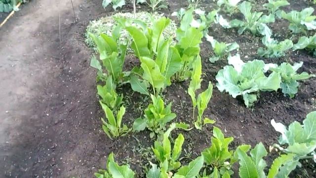 Лайфхаки для Красоты и Здоровья