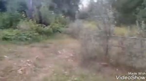 Два пацана гея выполняют моё желание влог на улице
