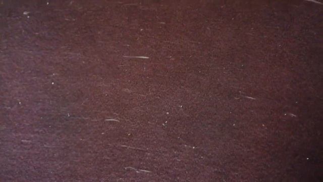 Шерсть - это непреодолимое зло смотреть онлайн