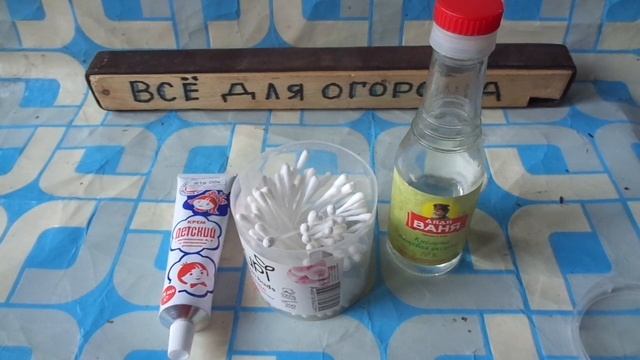 Папилому в домашних условиях   Выжигаем 70% уксусом