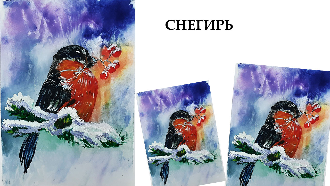 Как легко нарисовать снегиря гуашью. смотреть онлайн