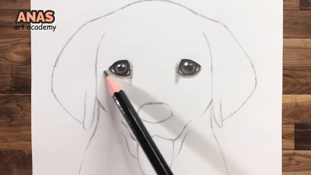 How To Draw a DOG (GOLDEN LAB PUPPY) | Drawing Tutorial смотреть онлайн