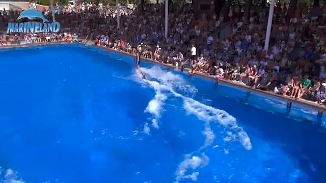 Marineland Mallorca