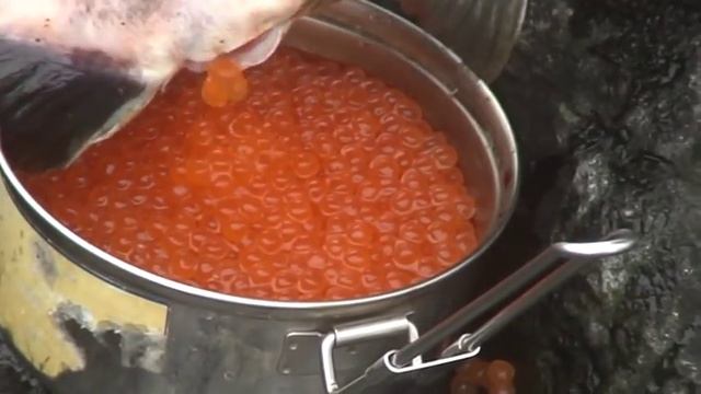 Икра горбуши остров Кунашир 2012.vob смотреть онлайн