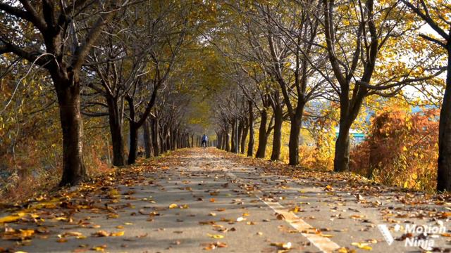 SONET ☆ De OCTAVIAN GOGA ☆ citește Paul Enache.