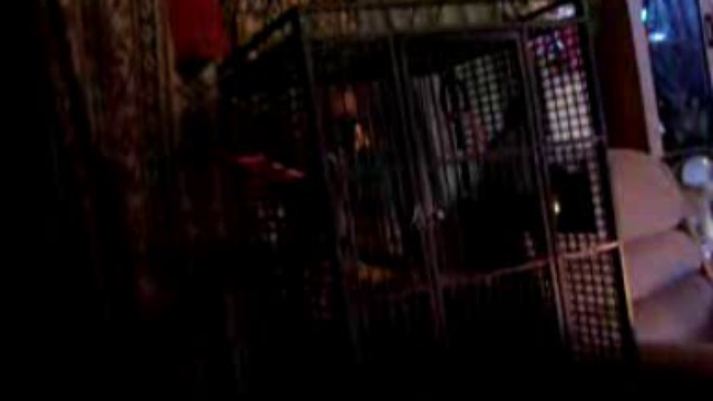 Zaks Got The Moves Like Jagger смотреть онлайн