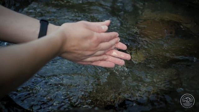 Территория Счастья - душевная турбаза в Горном Алтае смотреть онлайн