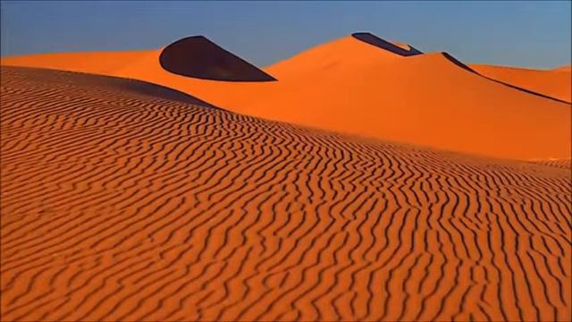 Пустынный бегунок смотреть онлайн