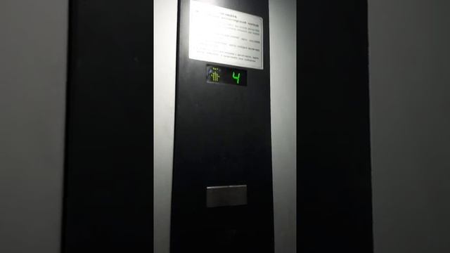 Санкт-Петербург, Светлановский 75 смотреть онлайн