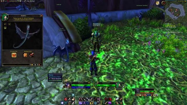 WoW Classic pets Dash and Dive broken/untrainable смотреть онлайн