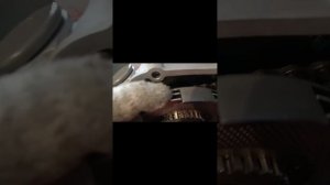 как правильно установить сцепление на мотоблока Лифан 15 лошадиных сил.