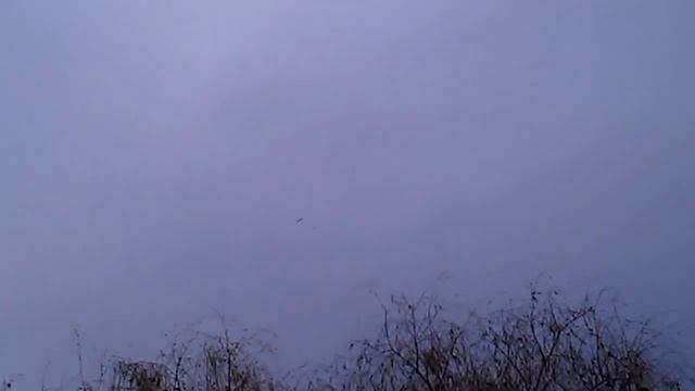 Запуск ракетомодели Донецк 16.11.14 смотреть онлайн