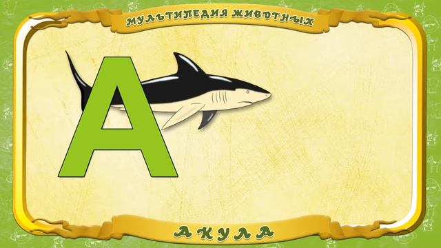 Мультипедия животных Буква А Акула смотреть онлайн