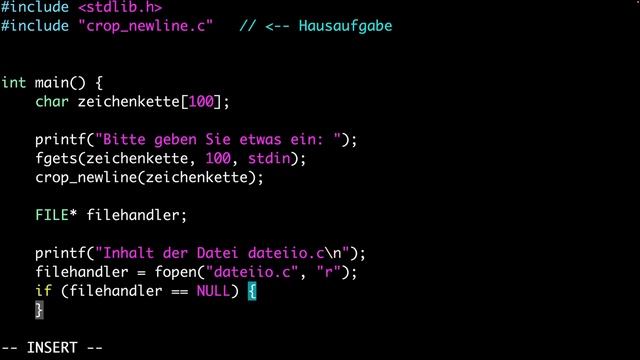 WS21 C Datei Ein- und Ausgabe смотреть онлайн