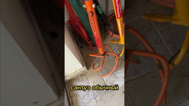 Мой арсенал для работы на даче. Культиватор торнадо смотреть онлайн