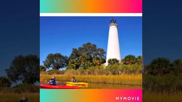 Manchineel poisonous tree смотреть онлайн