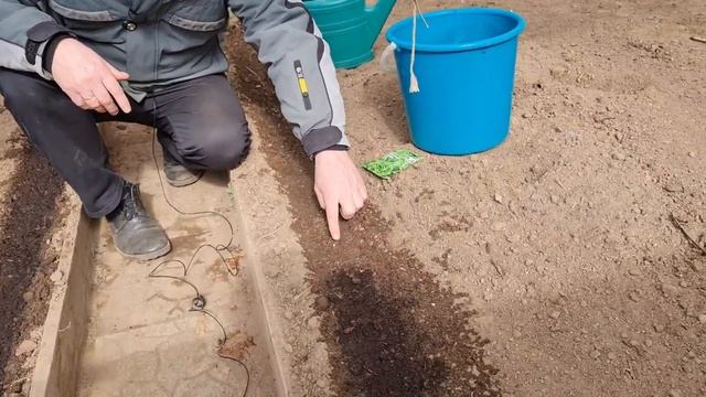 Сеем редис салат рукколу лук при холодах смотреть онлайн