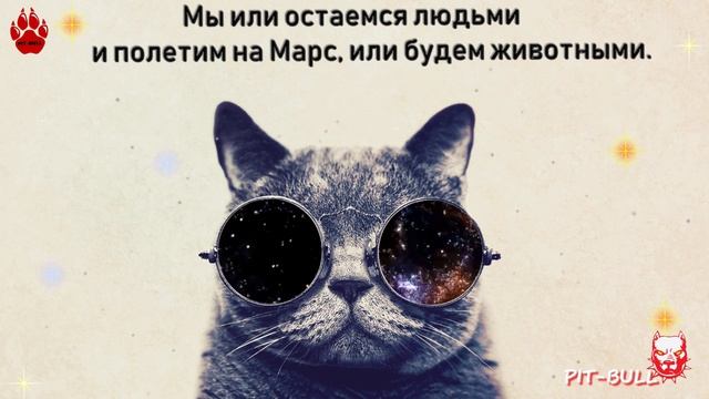 Dabro - Улетай на крыльях ветра Remix смотреть онлайн