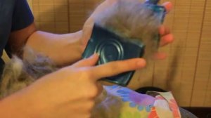 Расчесывание собачьей шерсти перед прядением.