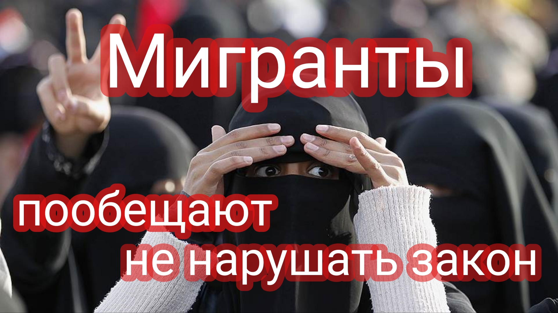 Мигранты будут подписывать соглашение о лояльности смотреть онлайн