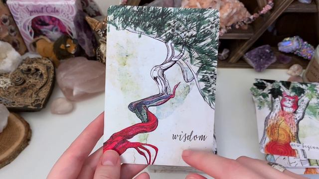 Tree Wisdom Cards // Walkthrough & Review смотреть онлайн