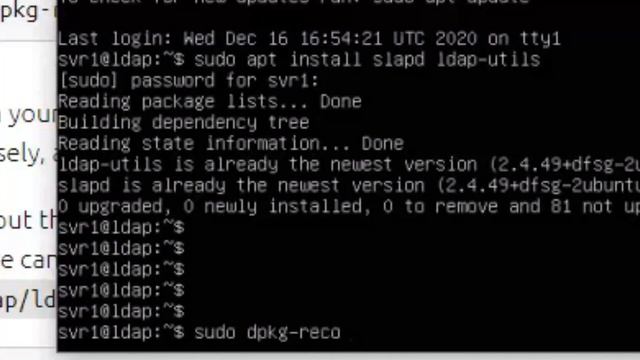 របៀបនៃការតម្លើងសេវា LDAP ក្នុងម៉ាស៊ីនមេ | how to install openldap on ubuntu server 20.04 LTS смотреть онлайн