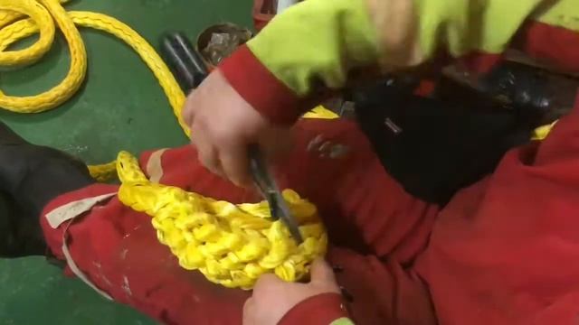 Ростим дайнекс смотреть онлайн