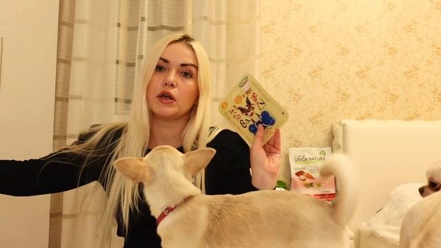 В магазин с двумя чихуахуа! Покупки для чихуахуа, корм для чихуахуа. смотреть онлайн