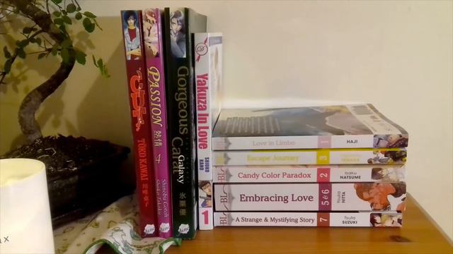 Completing BL Collections 2019 Edition [2019's 365 Days of Boys Love Review] смотреть онлайн