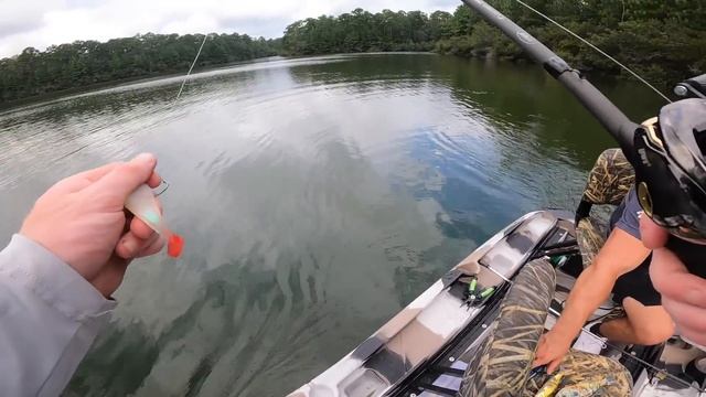 TINY Swimbait vs GIANT Swimbait Bass Fishing Challenge! (EPIC) смотреть онлайн