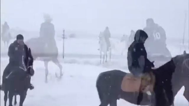 Кавказские Лошади смотреть онлайн