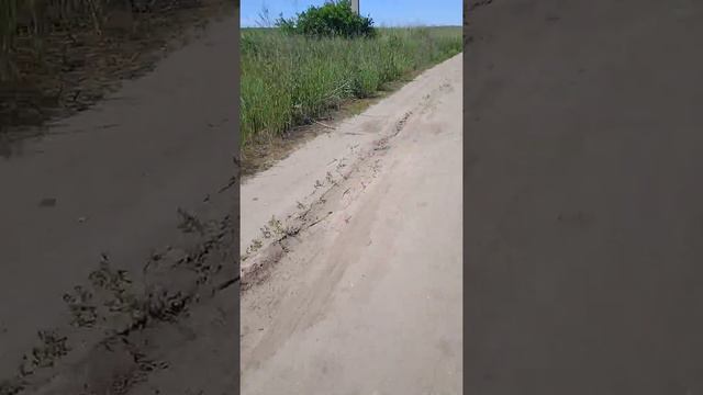 я живу на даче 🌵🌲🌳🌱🌿☘️🍀🎋🎍🍃🍂🍁🌺🌸💐🌷🌹🥀🌻🌼☀