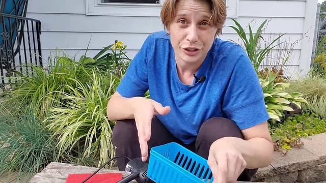 Why you need an external filter for your fountain pump смотреть онлайн