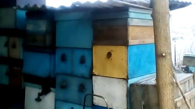 Построил навес для пчел ,чтоб зимовали не под дождем и не под снегом .