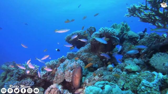 Это очень красивая, нежная и очаровательная музыка! Можно слушать бесконечно! Сергей Грищук - Волны смотреть онлайн