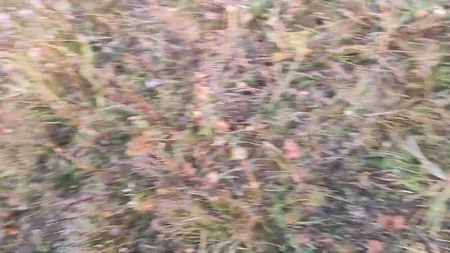 как мне все мешали снимать закат и город смотреть онлайн