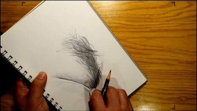 Practice drawing hair. / Pencil Drawing Technique. / 4X speed Drawing process. смотреть онлайн