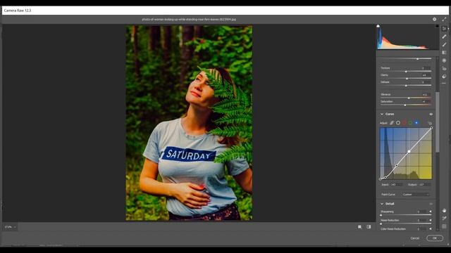 COLOR GRADING PRESET - JUNGLE - DNG & XMP ( NO PASS ) смотреть онлайн