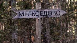 Поход Шушенский Бор Мелкоедово 04 11 2022