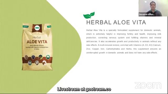 Good Imc 👍 || Zoom Meeting Special || Aloe Vita And Aloe Vical Ki Full Details || смотреть онлайн