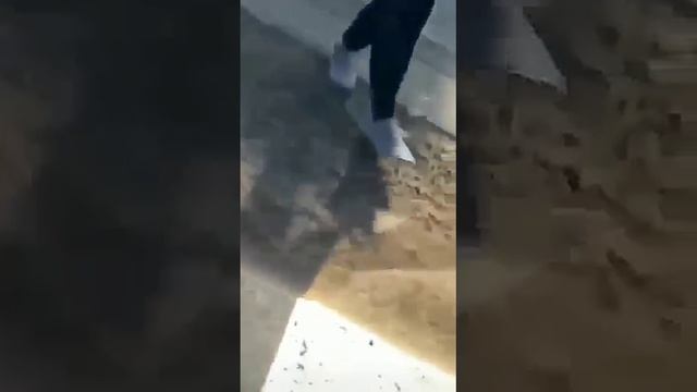 Птичку жалко... .mp4 смотреть онлайн