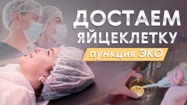 ДОСТАНЕМ ЛИ ЯЙЦЕКЛЕТКУ?/ПУНКЦИЯ в протоколе ЭКО