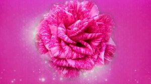 Футаж. Цветочный фон 92